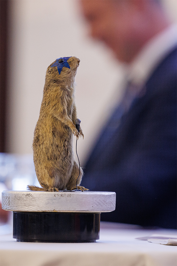 Ziesel mit Stern über Auge, im Hintergrund Vizekanzler Babler